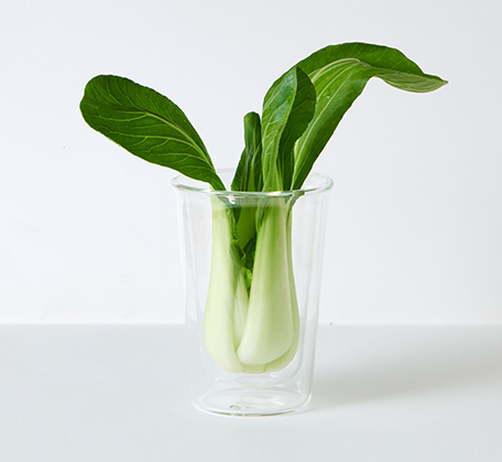 PerfectFresh Activeで11日間保存した青梗菜