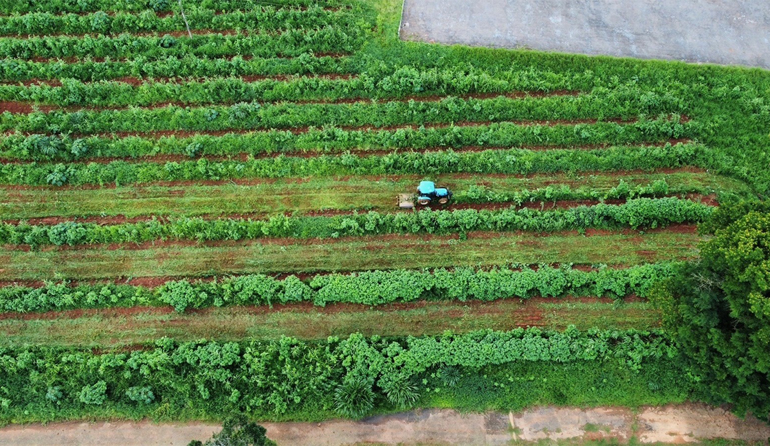ミーレはブラジルでreNature社と共同でリジェネラティブコーヒープロジェクトを開始。ミナスジェライス州の農園で作業中のトラクター