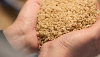 FIRST PLACE イベントレポートVol.12 「WORKSHOP」 麹の魅力、発酵のチカラ