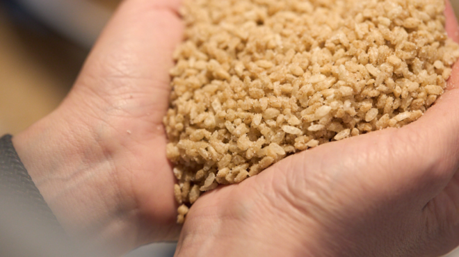 FIRST PLACE イベントレポートVol.12 「WORKSHOP」 麹の魅力、発酵のチカラ